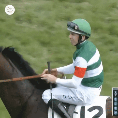 Happy Dance GIF by World Horse Racing
