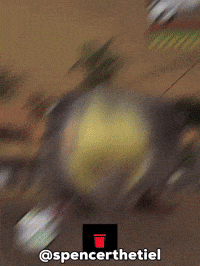 Instagram Bird GIF