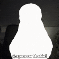 Instagram Bird GIF