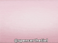 Bird Pet GIF