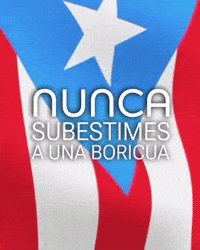 Puerto Rico Pr GIF