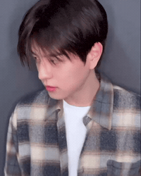 Skz Straykids GIF