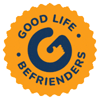 glbf friend special autism inclusion Sticker