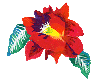 DariLuna nature flower rose spring Sticker