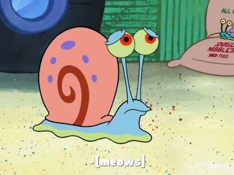 season 8 barnacle face GIF by SpongeBob SquarePants