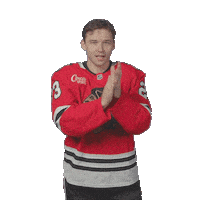 Philipp Kurashev Sticker by NHLBlackhawks