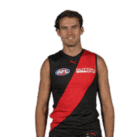Dons Bombers Sticker by Essendon FC