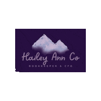 HaileyAnnCo bookkeeping cfo money management small business bookkeeping Sticker