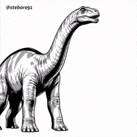 Confused No Idea GIF