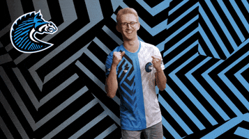 Fists Win GIF by BS+COMPETITION