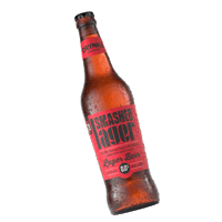 DrynksStore beer cheers friday drinks Sticker