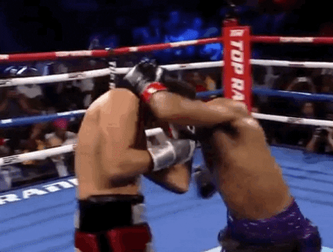 toprank giphyupload fight boxing fighting GIF
