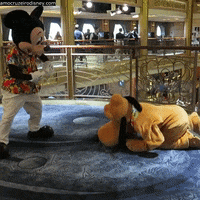 Good Boy GIF by Amo Cruzeiro Disney
