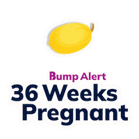 Pregnancy Expecting Sticker by The Bump