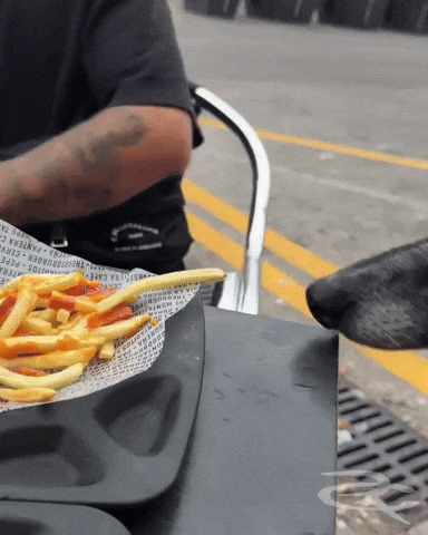 French Fry Dog GIF by Respective