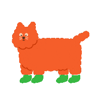 Cat Shoes Sticker