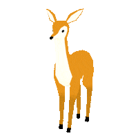 Deer Doe Sticker