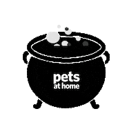 Halloween Witch Sticker by Pets at Home