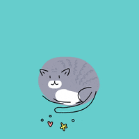 GIF by CsaK