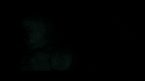 laurentgalant giphygifmaker GIF