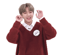Donghyun Sticker