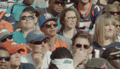 DenverBroncos football nfl fans broncos GIF