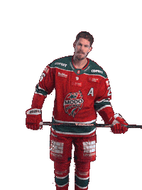 Ice Hockey Hockeyallsvenskan Sticker by MoDo Hockey
