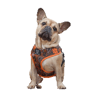 Love It Hearts Sticker by Fibi & Karl