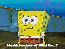 season 3 missing identity GIF by SpongeBob SquarePants