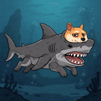Bored Shiba Inu GIF by Doge Pound