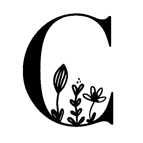 Abc Alphabet Sticker