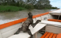 ride boat GIF by Digg