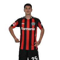 Peace Out Sticker by Bayer 04 Leverkusen