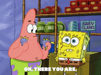 season 6 porous pockets GIF by SpongeBob SquarePants