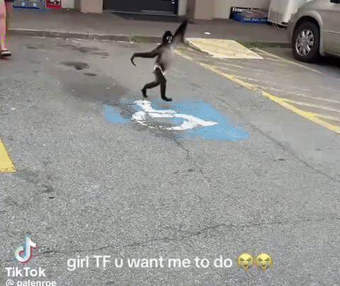 ZIORR monkey monkeyrunning girltfuwantmetodo GIF