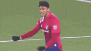 Celebrate Lets Go GIF by Major League Soccer