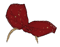 tapealoeil tapealoeil taodream Sticker