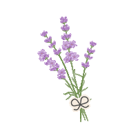 Flowers Lavander Sticker by Tana Rendon