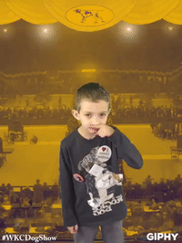 wkcdogshow GIF by Westminster Kennel Club