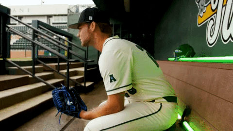 College Baseball Turner GIF by GreenWave