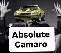 Bumblebee Camaro GIF