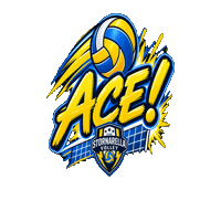 StornarellaVolley sport team volleyball ace Sticker