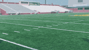 Soccer Bison GIF by NDSU Athletics