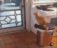 GIF by Demic