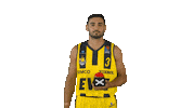Ewe Baskets Basketball Sticker by EWE Baskets Oldenburg