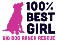 Adopted Dog Sticker by Big Dog Ranch Rescue