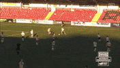 Long Range Goal GIF by Cliftonville Football Club