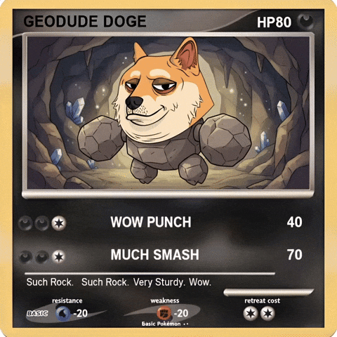 Shiba Inu Wow GIF by Doge Pound