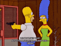 homer simpson GIF