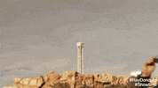 ray donovan GIF by Showtime